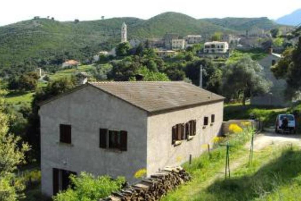 Charmant T2 Proche De Corte Soveria Extérieur photo